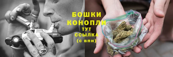 ECSTASY Богородск